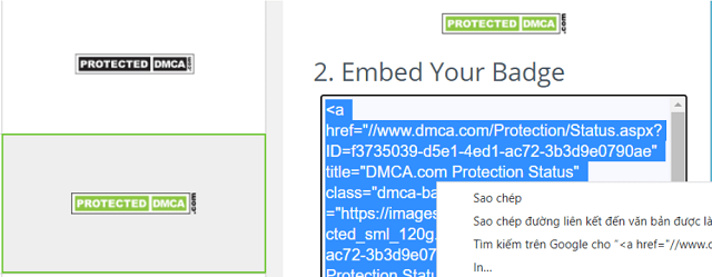 Sao chép đoạn code tương ứng với logo DMCA để bảo vệ website của bạn